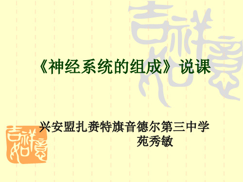 神经系统的组成说课