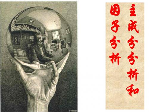 主成分分析与因子分析