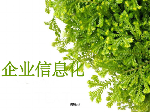 企业信息化联想案例分析