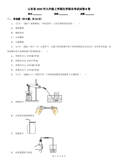 山东省2020年九年级上学期化学期末考试试卷B卷(新版)