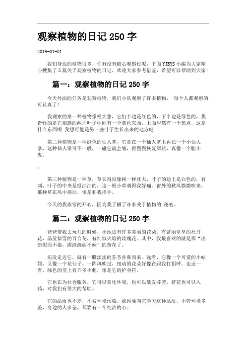 观察植物的日记250字.