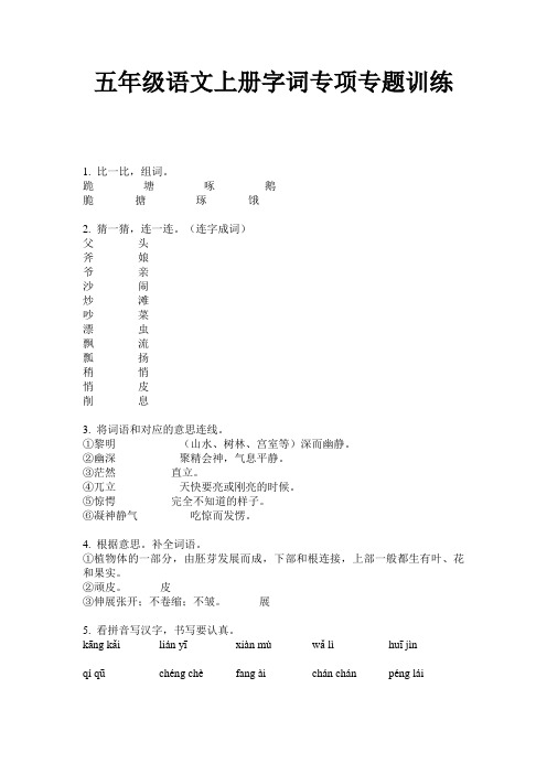 五年级语文上册字词专项专题训练