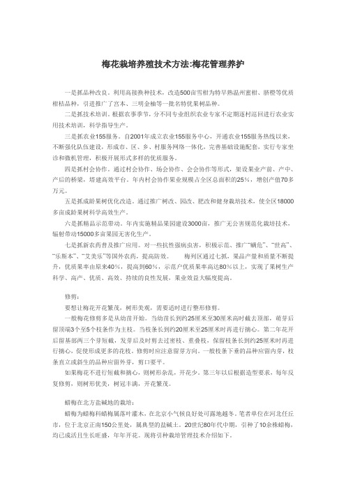 梅花栽培养殖技术方法梅花管理养护