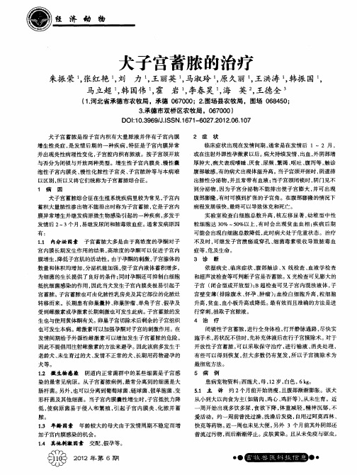 犬子宫蓄脓的治疗