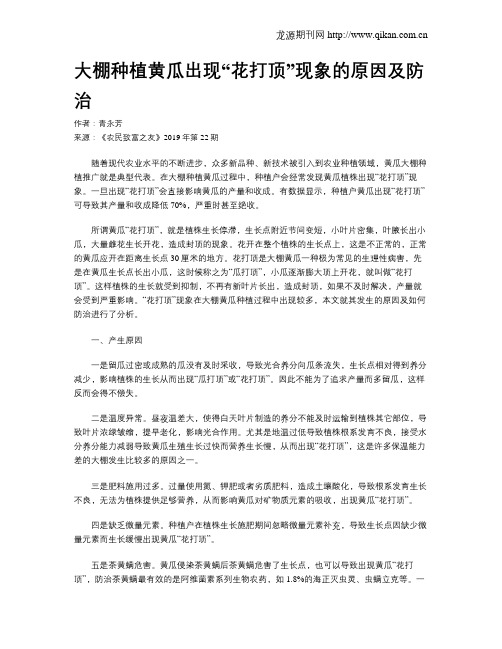 大棚种植黄瓜出现“花打顶”现象的原因及防治