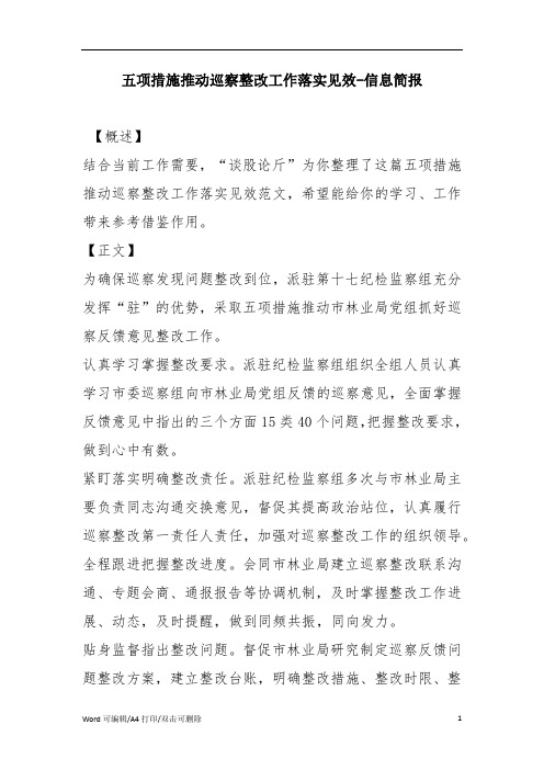 五项措施推动巡察整改工作落实见效-信息简报(完整版)