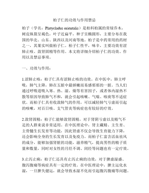 柏子仁的功效与作用禁忌