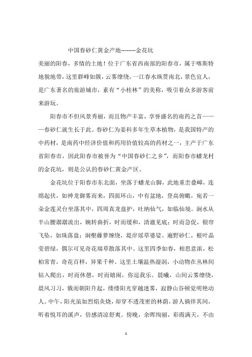 中国春砂仁黄金产地