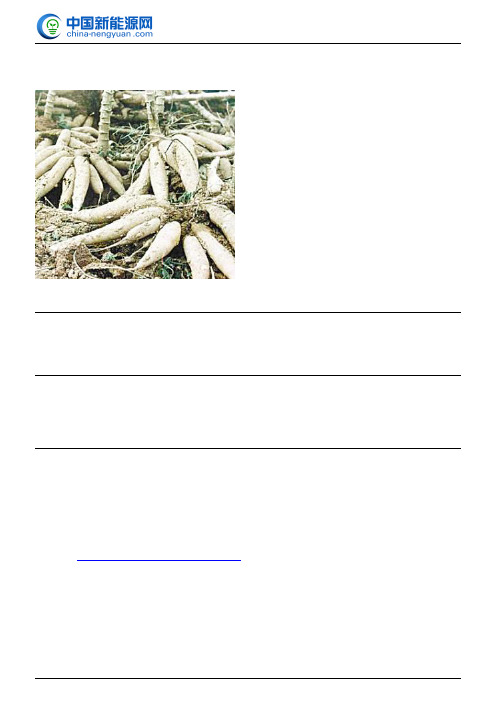 木薯燃料乙醇