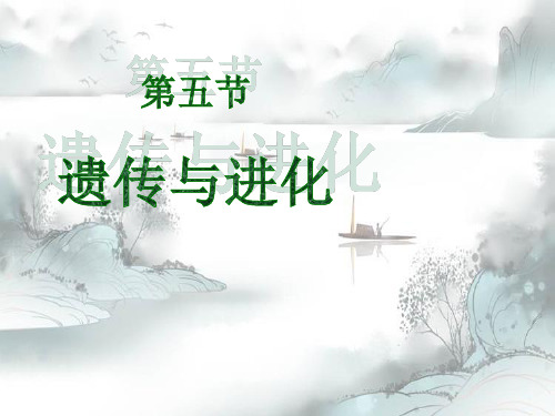 《遗传与进化》演示课件