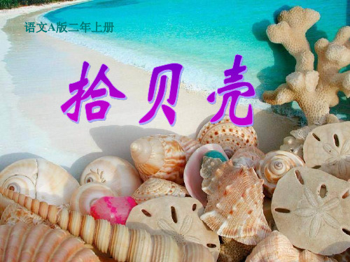 语文A版二年级上册《拾贝壳》课件