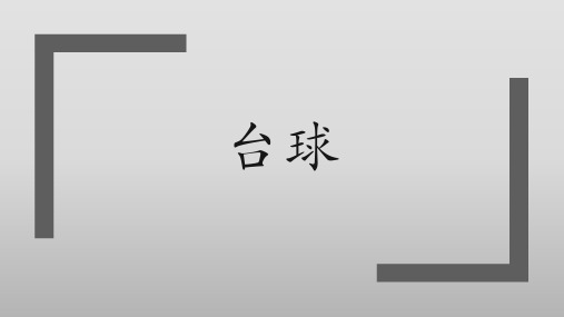 19学生PPT作品 (11)