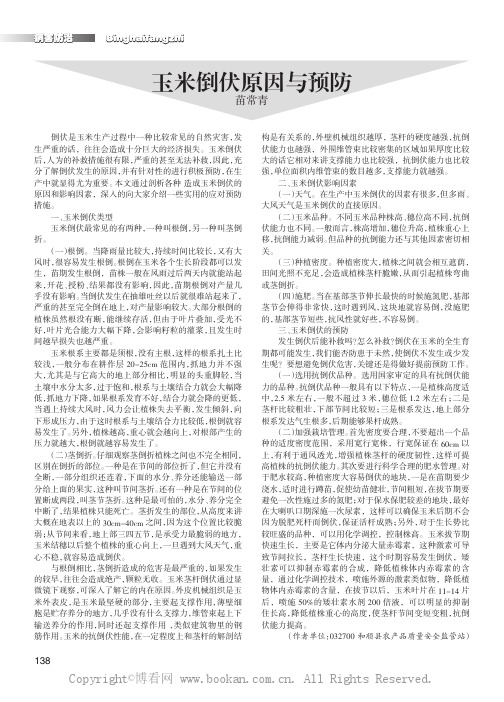 玉米倒伏原因与预防