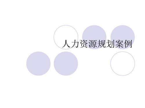 人力资源规划案例