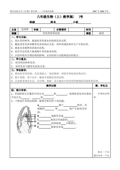 芽的类型和结构