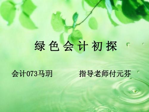 绿色会计初探
