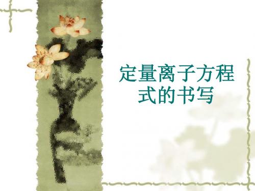 定量离子方程式的
