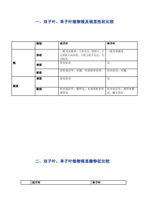 双子叶与单子叶植物的比较