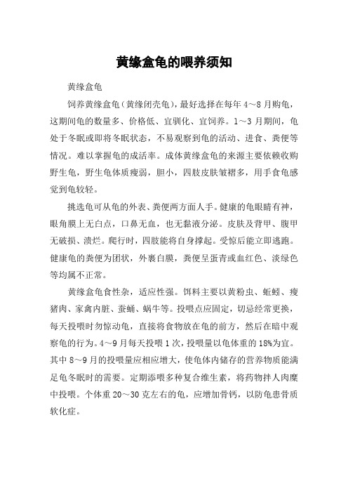 黄缘盒龟的喂养须知
