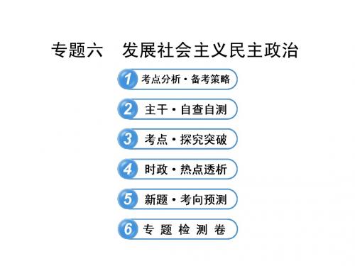发展社会主义民主政治