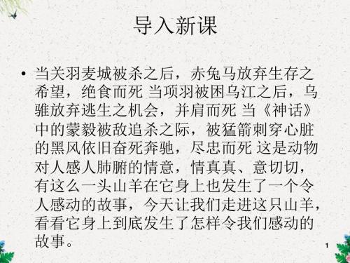 高二语文新人教版(选修《外国小说欣赏》)教学课件：第13课《山羊兹拉特》