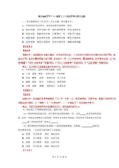 【解析版】湖北省咸宁市2014届高三上学期期末考试语文试题解析(解析版)