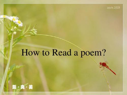 Chapter Two.How to Read a poem
