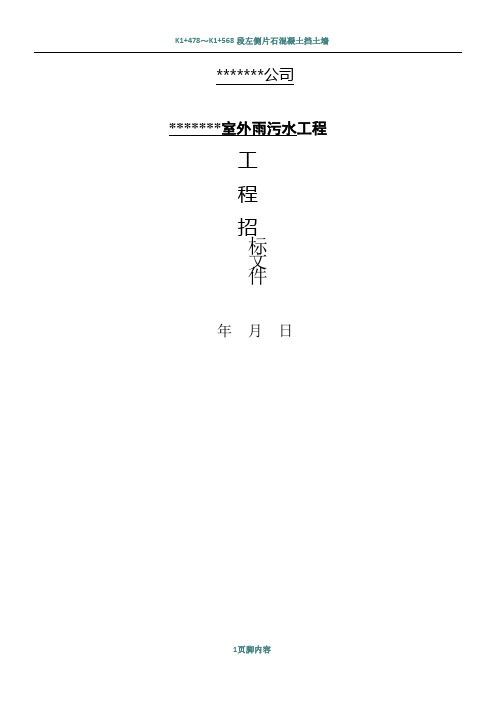 室外雨污水工程施工招标文件