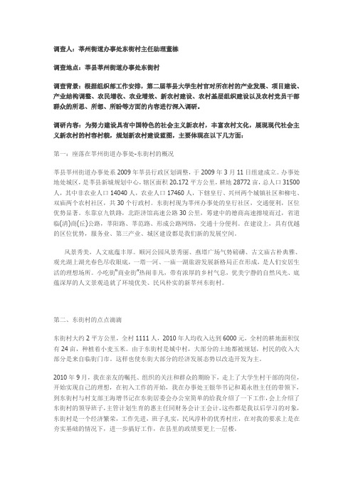 大学生村官董栋：东街村调研报告