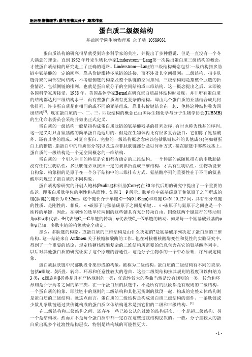 蛋白质二级级结构 基础医学院生