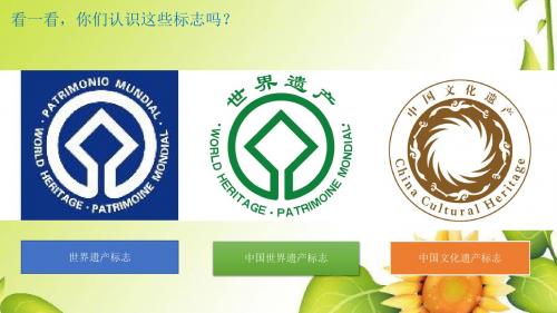 人教版九年级美术下册课件：2保护世界遗产【精品】