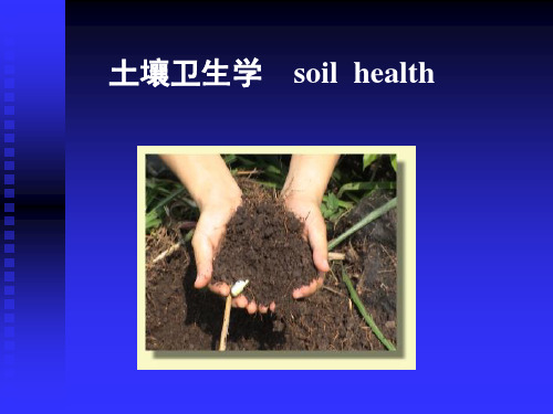 土壤卫生
