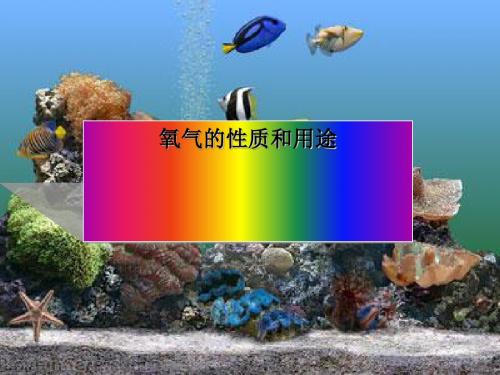 氧气的性质和用途 PPT教学课件2 人教版