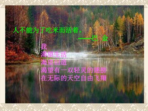 十三岁的际遇PPT课件43 苏教版 (共23张PPT)