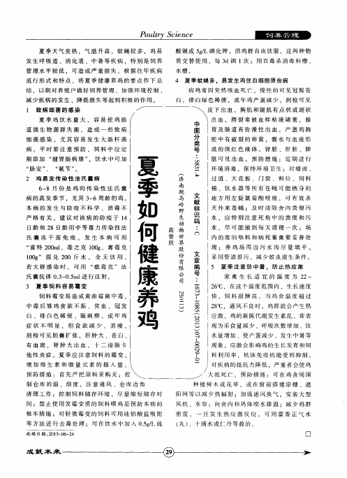 夏季如何健康养鸡