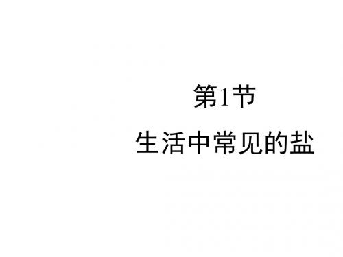 【初中化学】生活中常见的盐PPT课件40 人教版