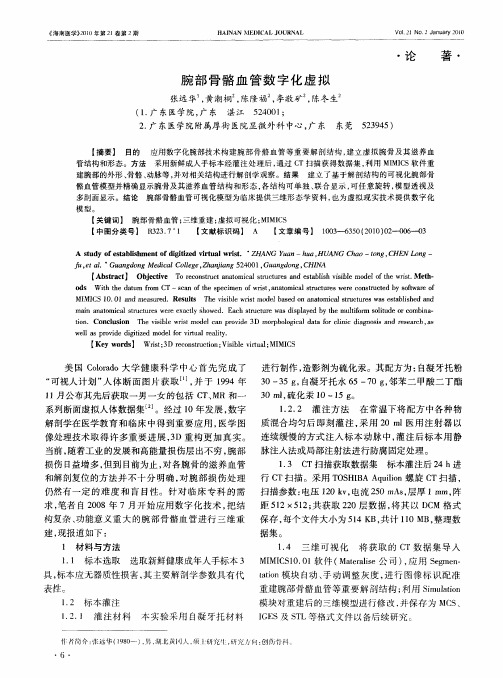 腕部骨骼血管数字化虚拟