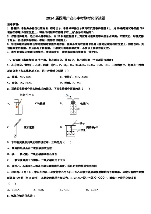 2024届四川广安市中考联考化学试题含解析