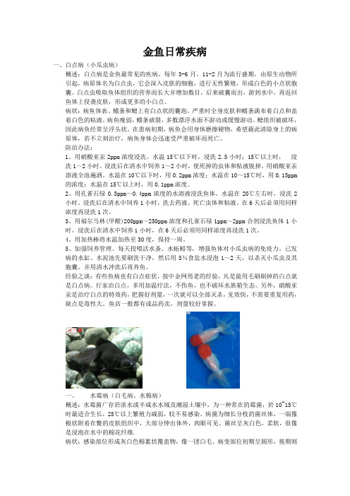 金鱼日常疾病