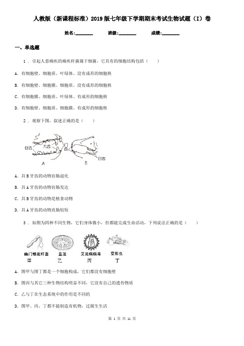 人教版(新课程标准)2019版七年级下学期期末考试生物试题(I)卷