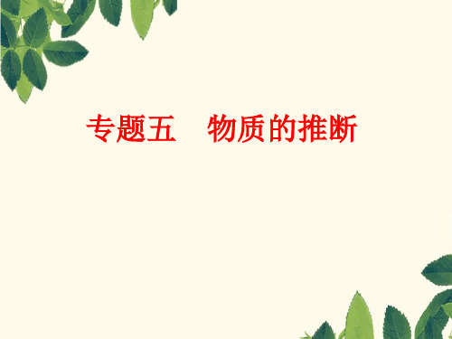 中考化学二轮复习 专题突破强化训练 专题五 物质的推断课件 鲁教版