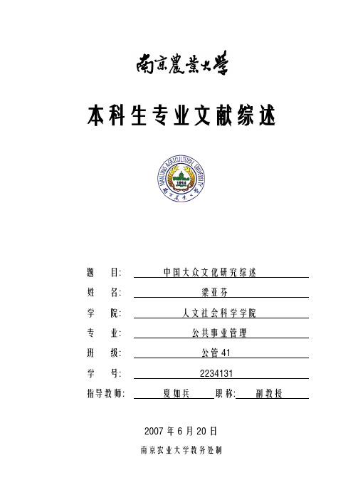 中国大众文化研究综述