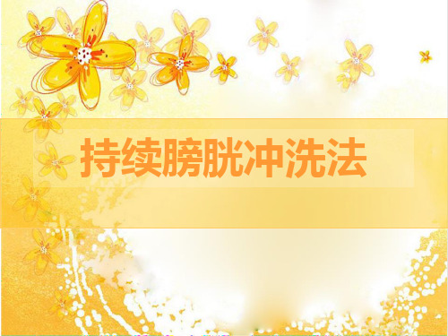 持续膀胱冲洗法课件