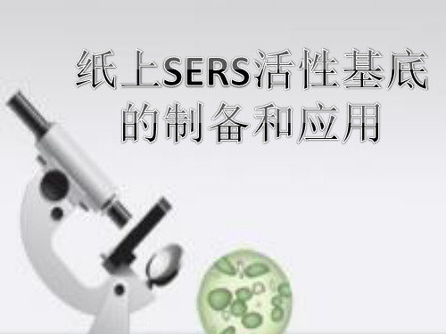 SERS简介