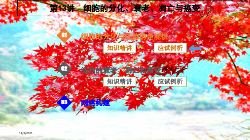 高考生物一轮复习第13讲细胞的分化衰老凋亡与癌变课件高三全册生物课件