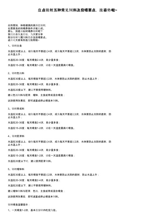 盘点锦鲤五种常见饲料及投喂要点，涨姿势啦~