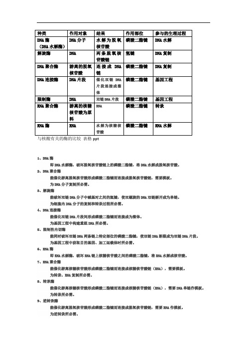最新与核酸有关的酶的比较 种类教学文案