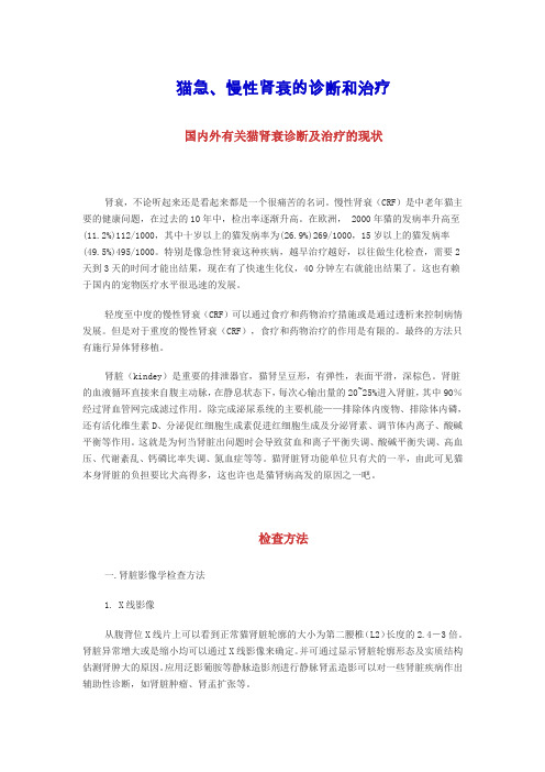 猫急、慢性肾衰的诊断和治疗