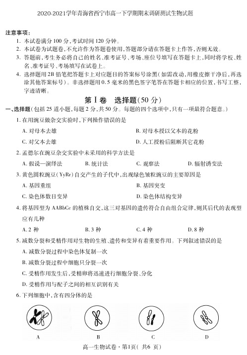 2020-2021学年青海省西宁市高一下学期期末调研测试生物试题 PDF版