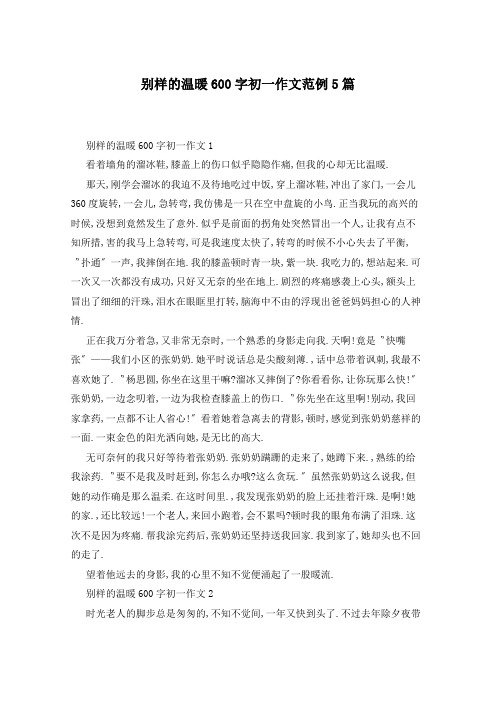 别样的温暖600字初一作文范例5篇